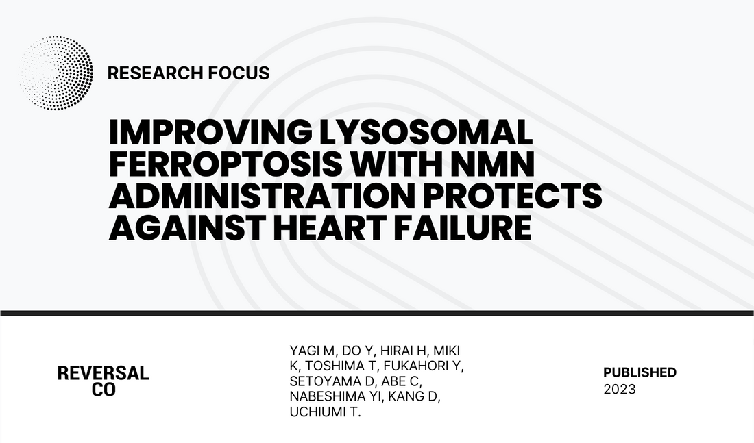 Improving lysosomal ferroptosis with NMN administration protects against heart failure