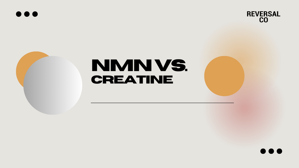 NMN vs Creatine
