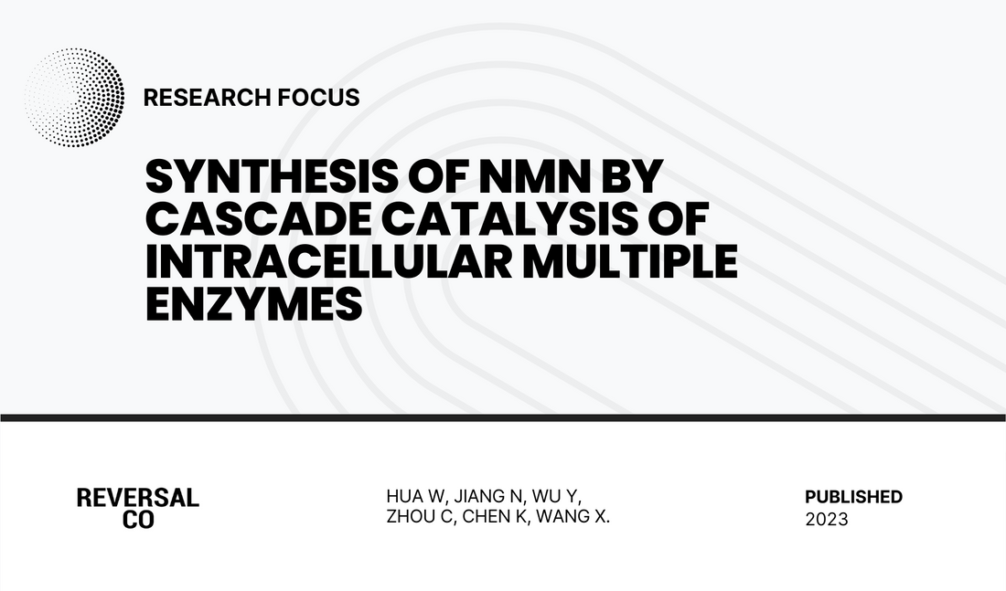 Synthesis of NMN by cascade catalysis of intracellular multiple enzymes