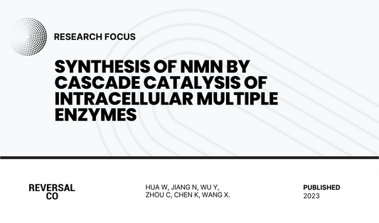 Synthesis of NMN by cascade catalysis of intracellular multiple enzymes