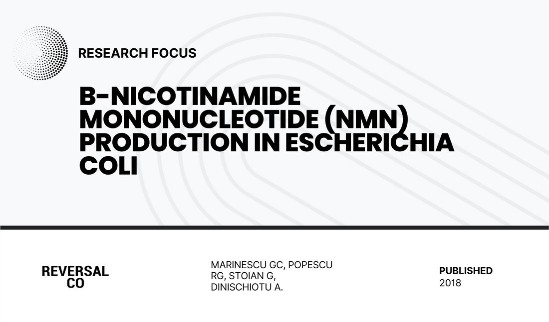 β-nicotinamide mononucleotide (NMN) production in Escherichia coli