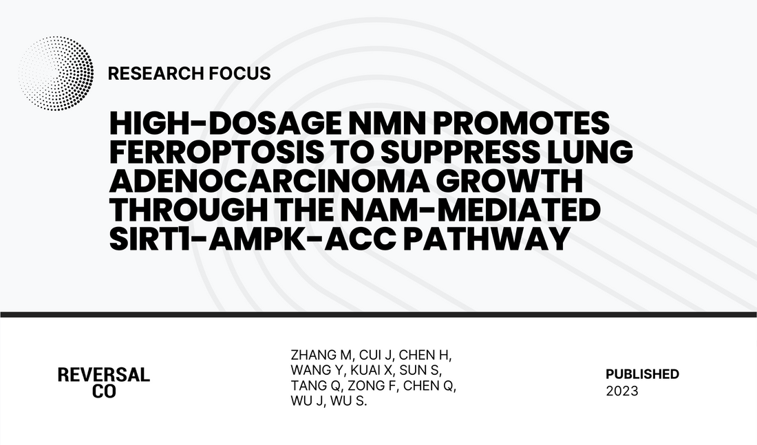 High-Dosage NMN Promotes Ferroptosis to Suppress Lung Adenocarcinoma Growth through the NAM-Mediated SIRT1-AMPK-ACC Pathway