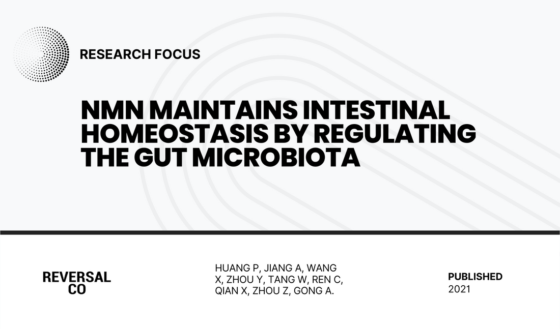 NMN Maintains Intestinal Homeostasis by Regulating the Gut Microbiota