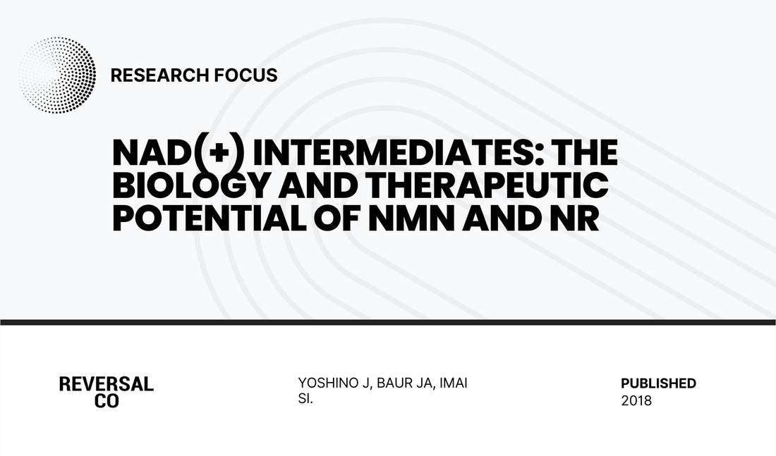 NAD(+) Intermediates: The Biology and Therapeutic Potential of NMN and NR