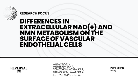 Differences in Extracellular NAD(+) and NMN Metabolism on the Surface of Vascular Endothelial Cells