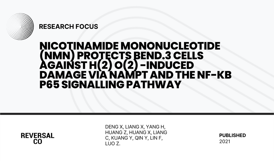 Nicotinamide mononucleotide (NMN) protects bEnd.3 cells against H(2) O(2) -induced damage via NAMPT and the NF-κB p65 signalling pathway