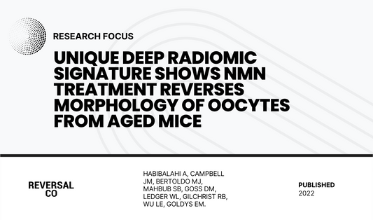 Unique Deep Radiomic Signature Shows NMN Treatment Reverses Morphology of Oocytes from Aged Mice