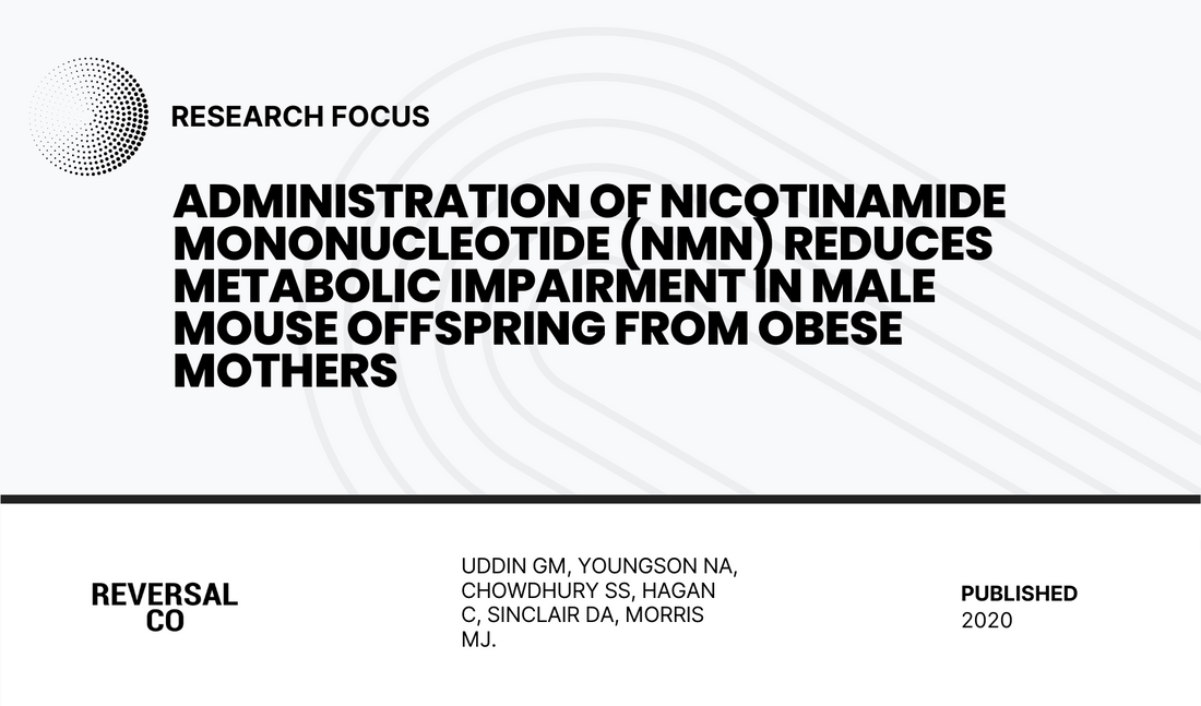 Administration of Nicotinamide Mononucleotide (NMN) Reduces Metabolic Impairment in Male Mouse Offspring from Obese Mothers