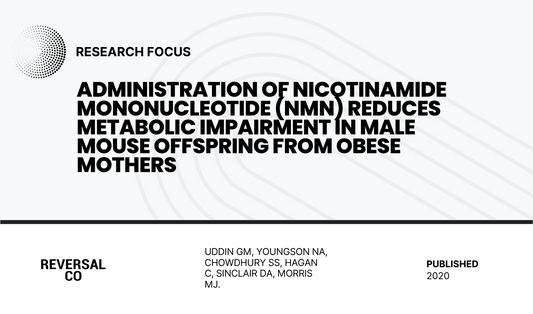 Administration of Nicotinamide Mononucleotide (NMN) Reduces Metabolic Impairment in Male Mouse Offspring from Obese Mothers