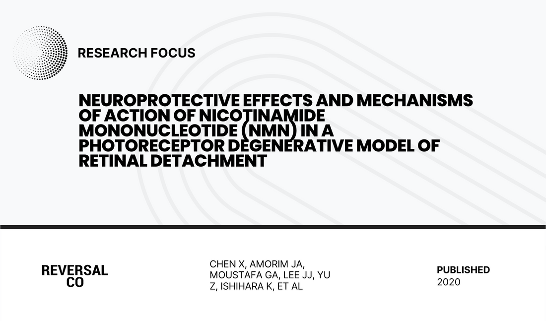Neuroprotective effects and mechanisms of action of nicotinamide mononucleotide (NMN) in a photoreceptor degenerative model of retinal detachment