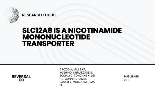 Slc12a8 is a nicotinamide mononucleotide transporter