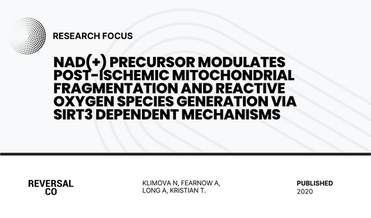 NAD(+) precursor modulates post-ischemic mitochondrial fragmentation and reactive oxygen species generation via SIRT3 dependent mechanisms