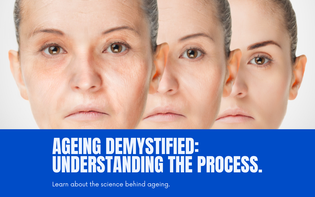 Ageing Demystified: Understanding the Process