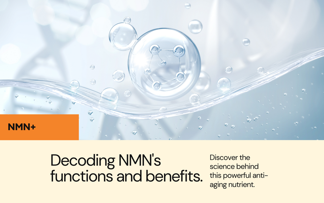 Decoding NMN: Functions and Benefits
