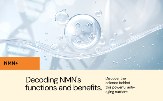 Decoding NMN: Functions and Benefits