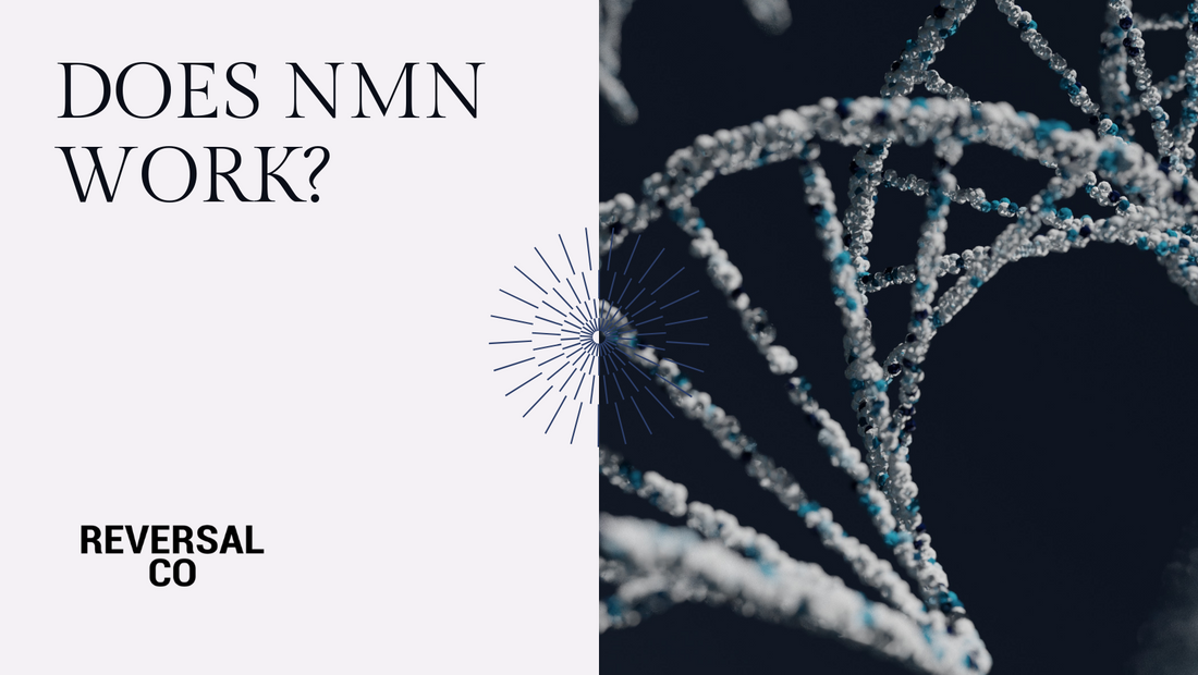 Does NMN Work? Decoding the Efficacy of NMN: A Scientific Exploration