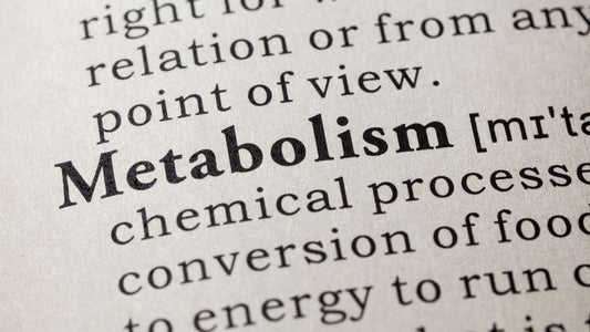 NMN and Metabolism: Boosting Cellular Energy and Metabolic Health