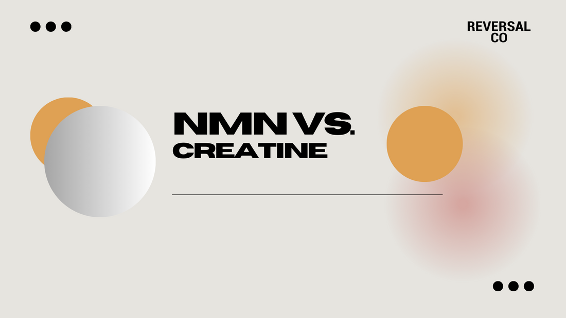 NMN vs Creatine