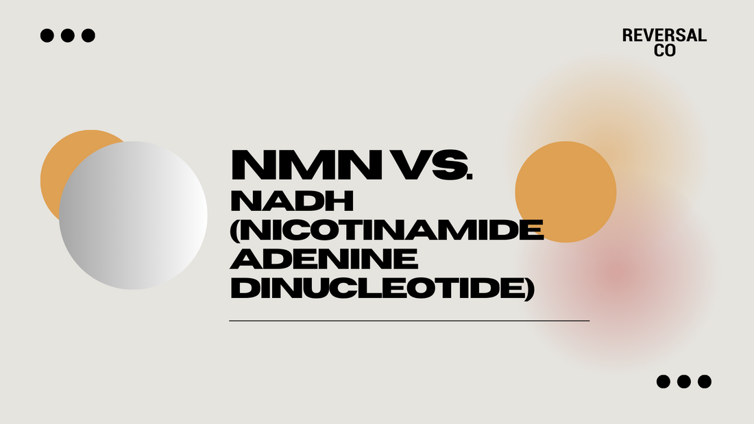 NMN vs NADH (Nicotinamide Adenine Dinucleotide)