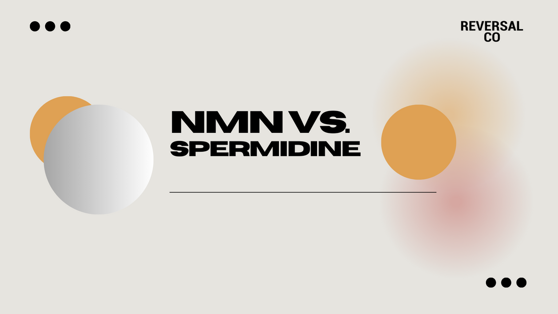 NMN vs Spermidine