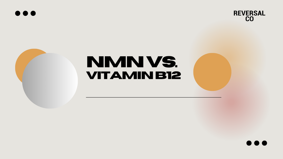 NMN vs Vitamin B12