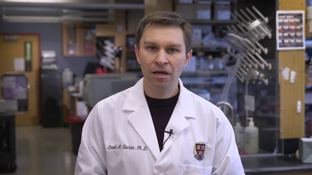 Load video: David Sinclair - Rewinding the clock on aging blood vessels